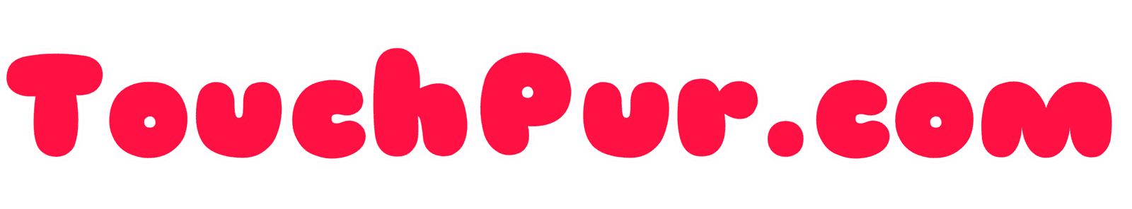 touchpur.com